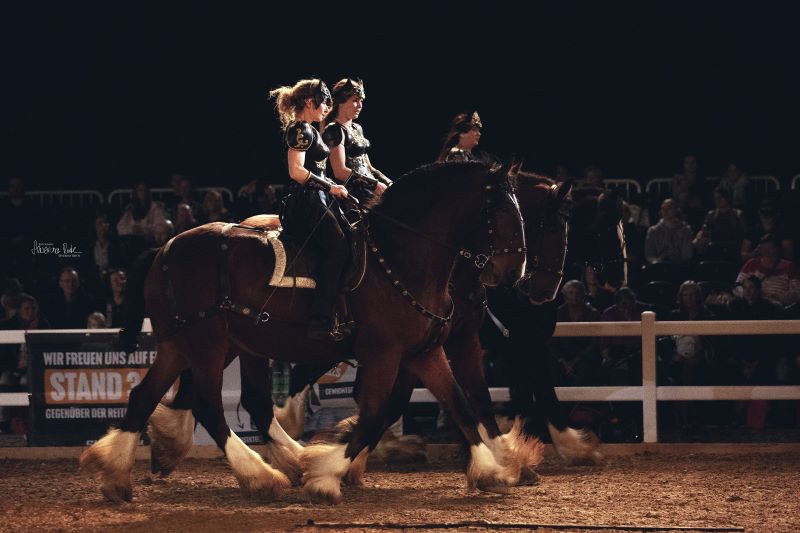 Hund und Pferd 2024 Feuershow
